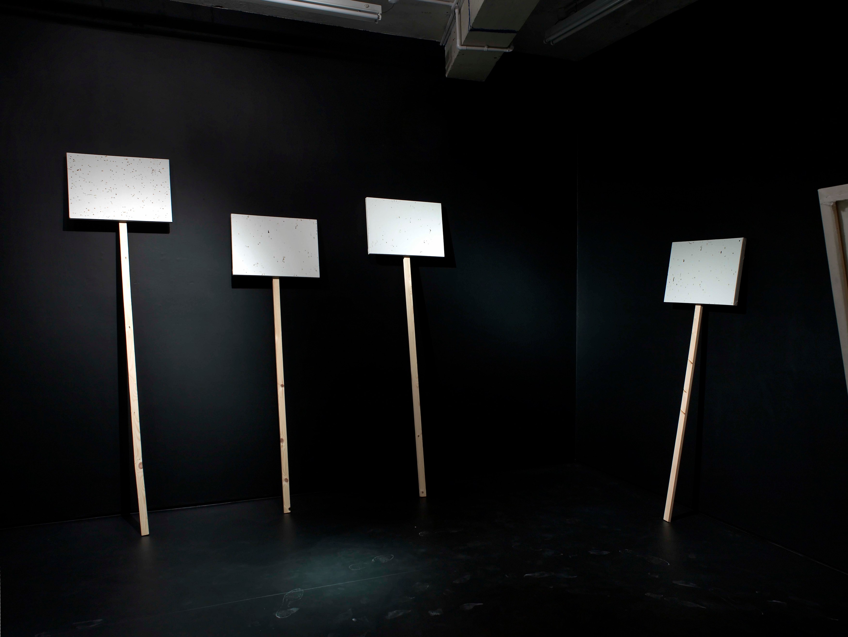 Klaus Weber, Bee Paintings at Museum St, photo 2