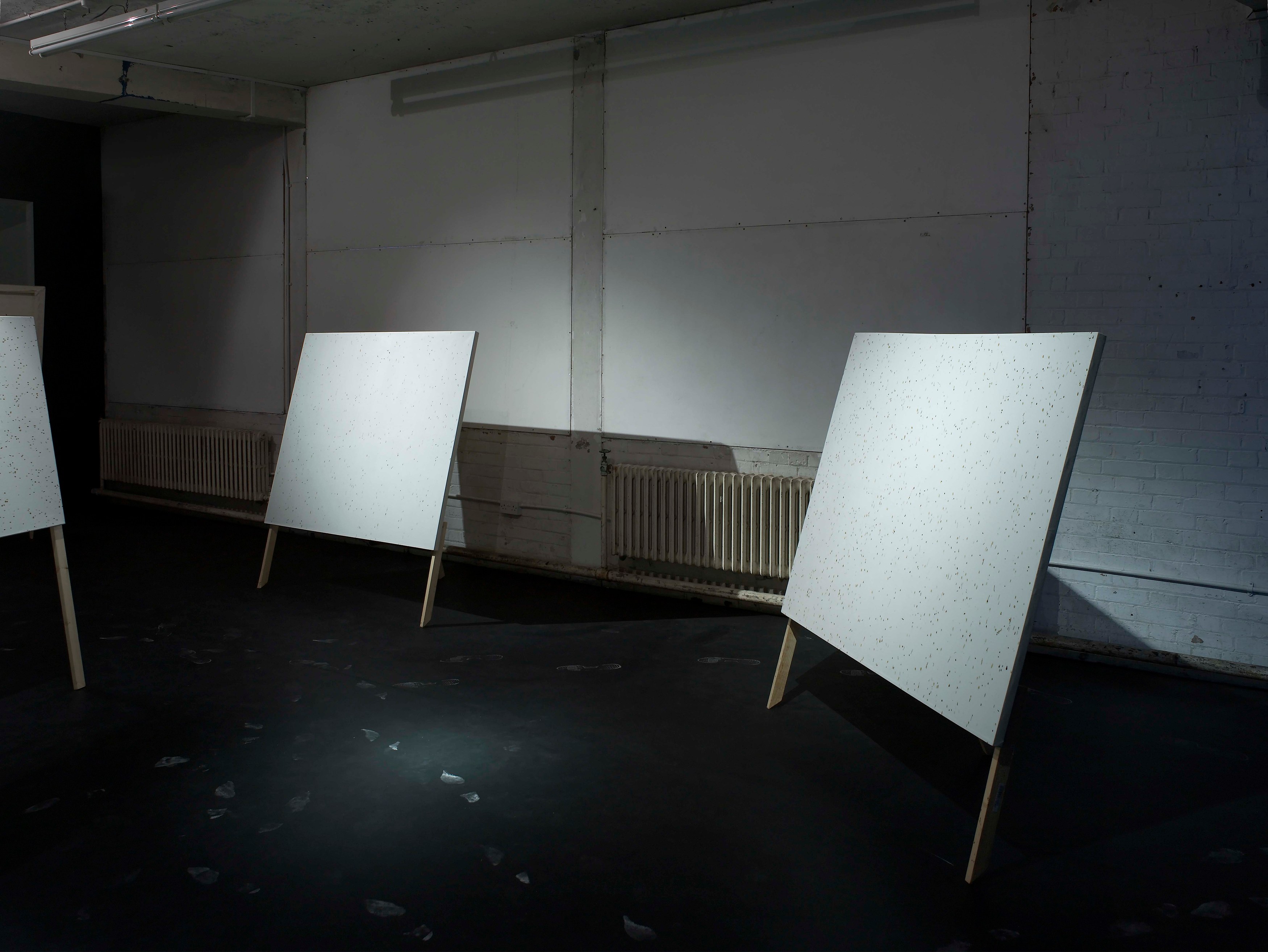 Klaus Weber, Bee Paintings at Museum St, photo 3