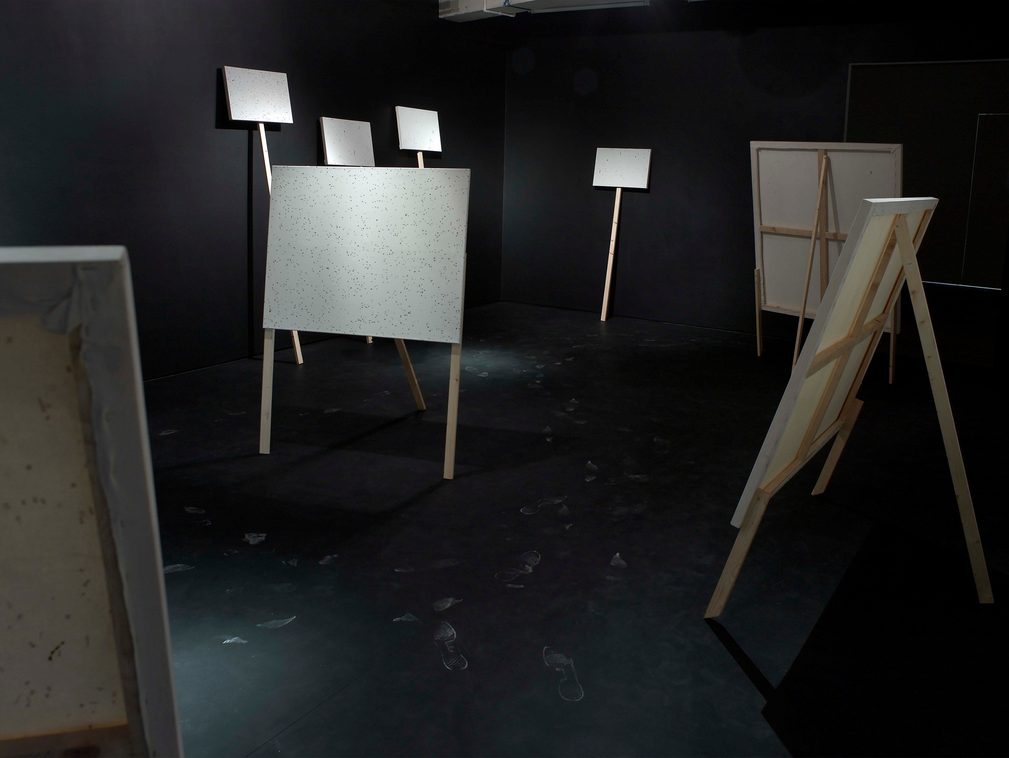 Klaus Weber, Bee Paintings at Museum St, photo 4