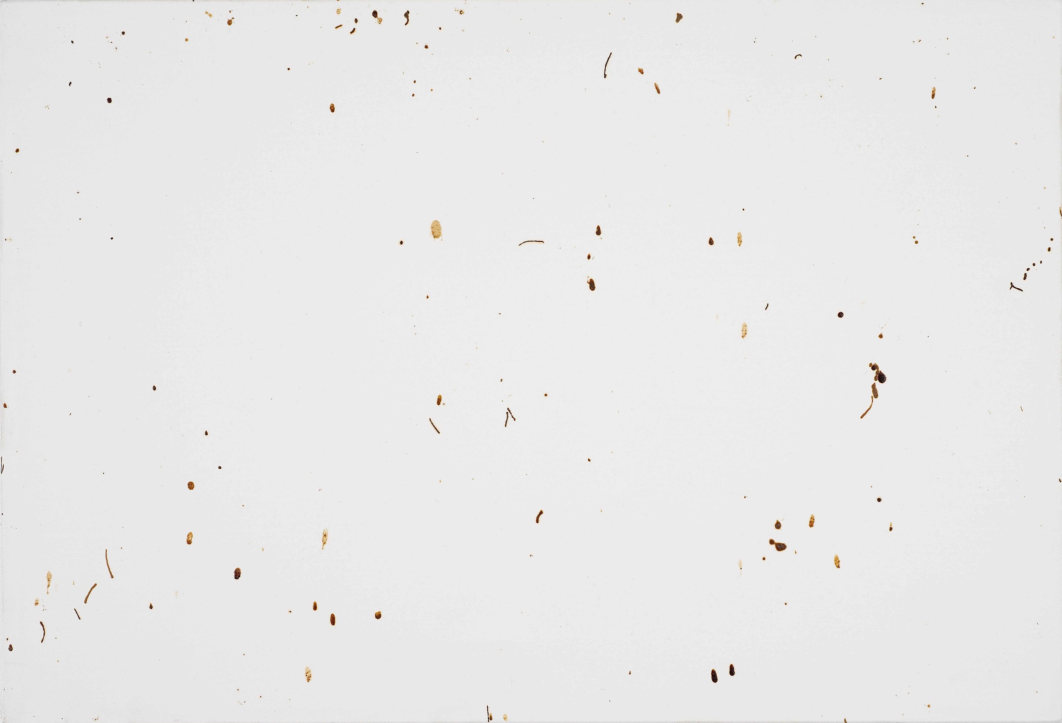 Klaus Weber, Bee Paintings at Museum St, photo 6