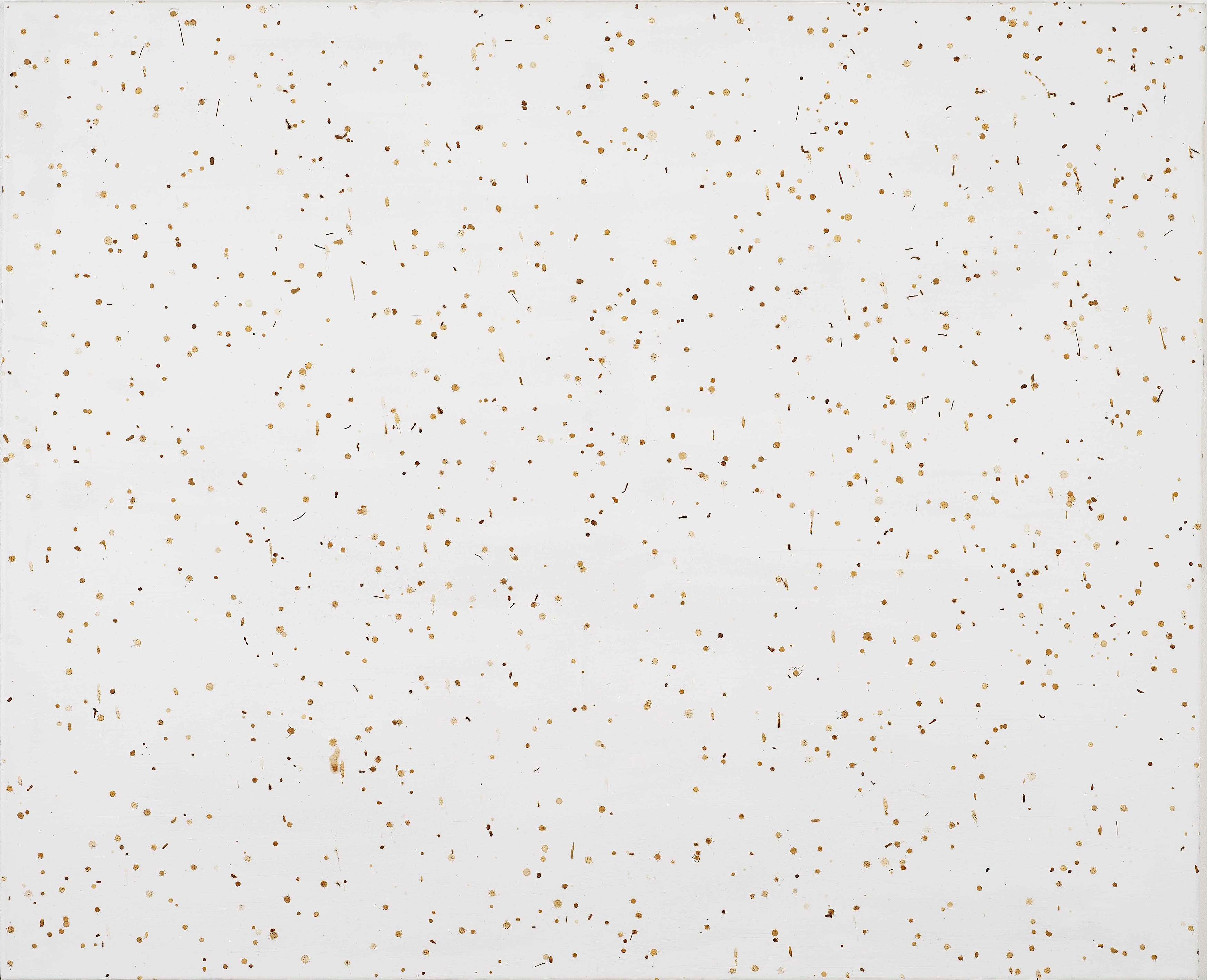 Klaus Weber, Bee Paintings at Museum St, photo 7