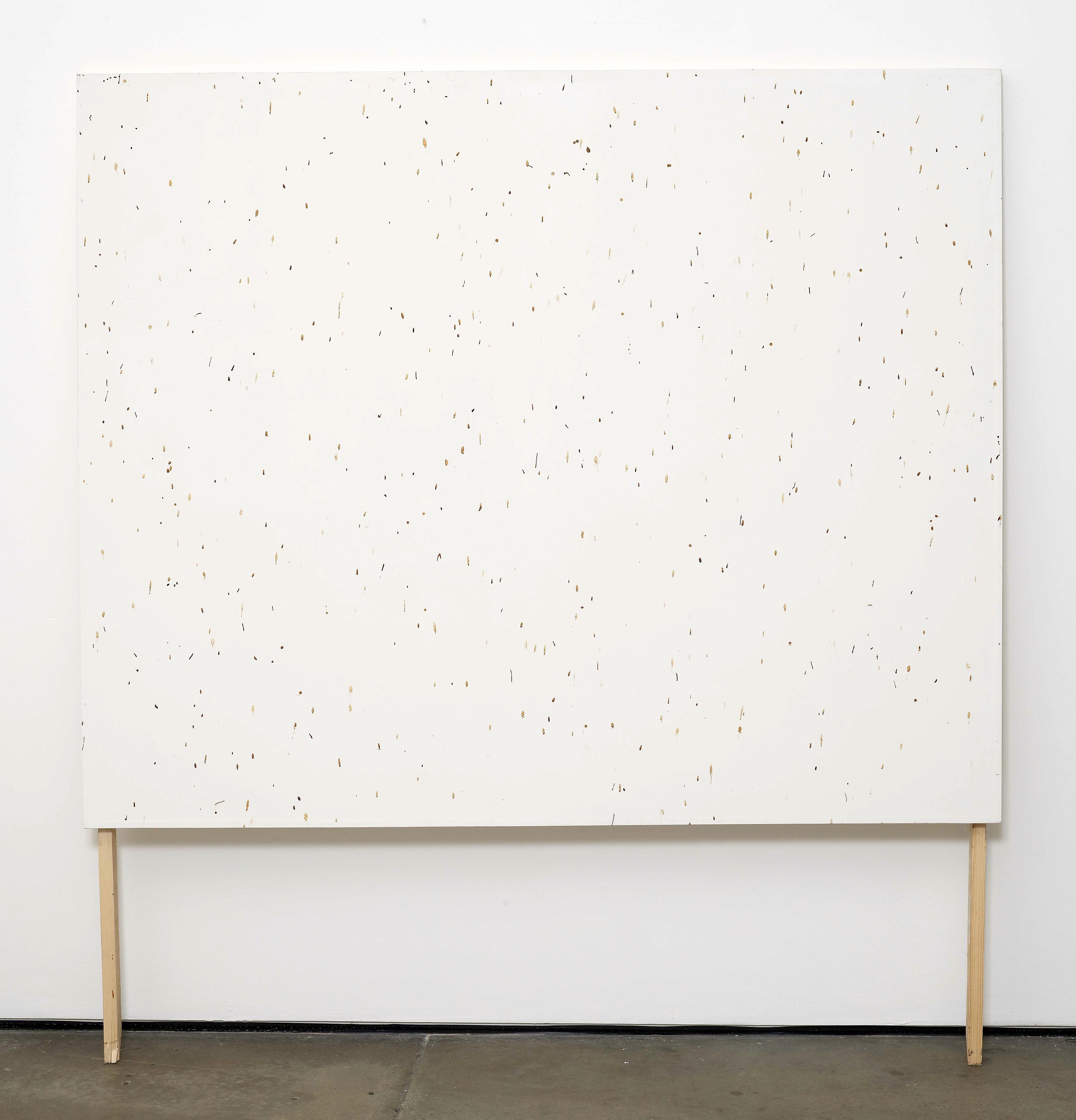 Klaus Weber, Bee Paintings at Museum St, photo 8