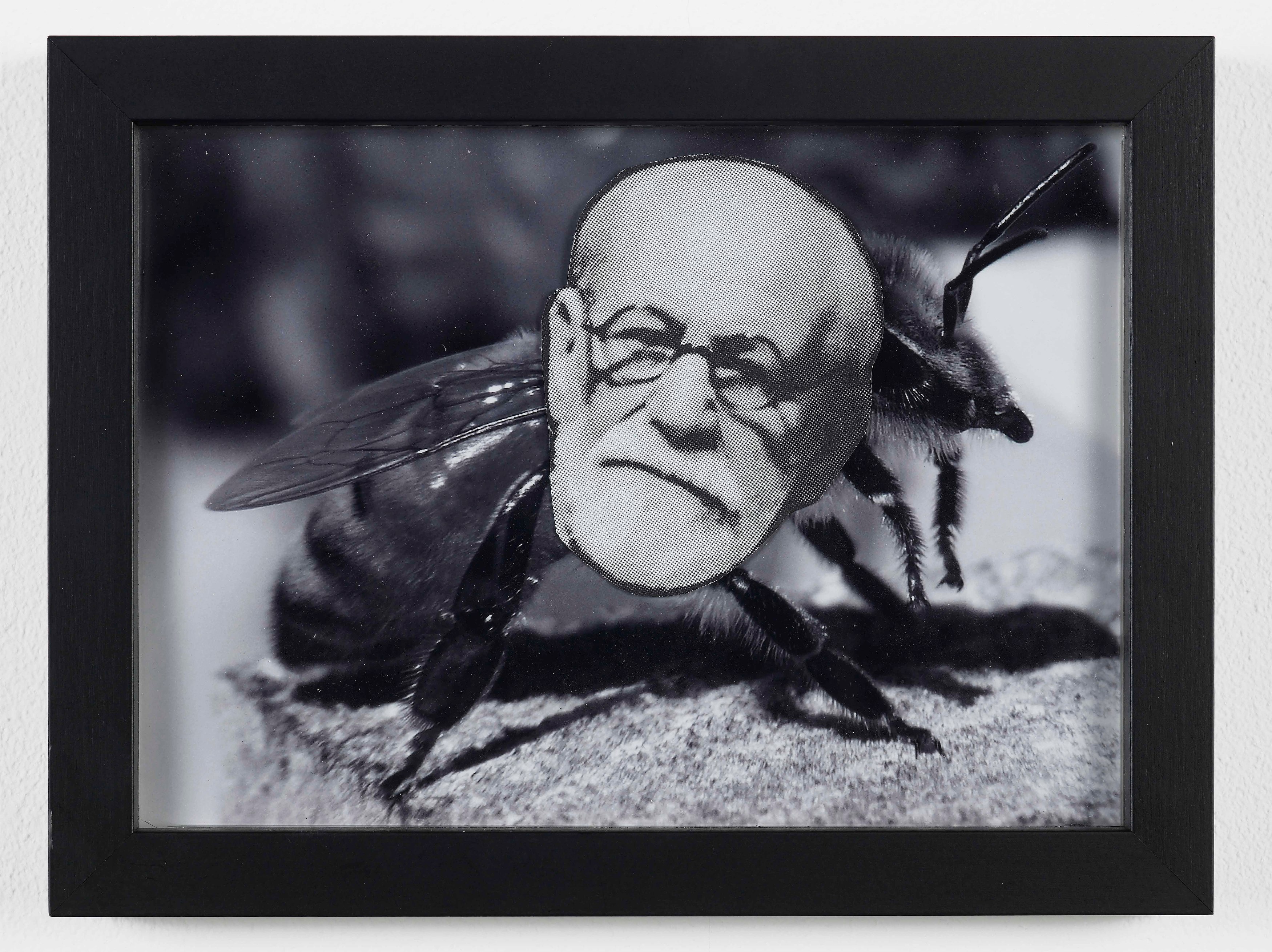 Klaus Weber, Bee Paintings at Museum St, photo 9
