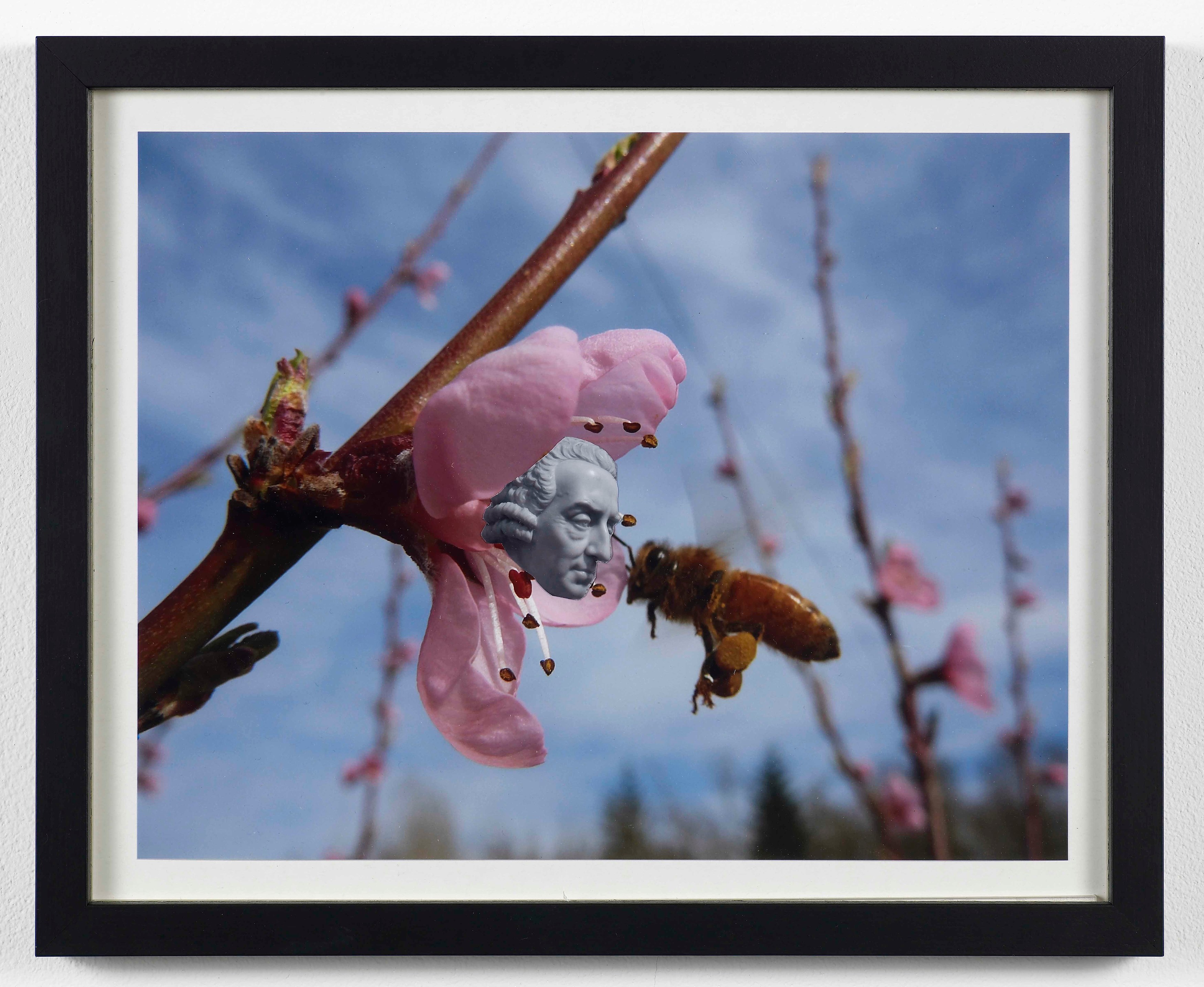 Klaus Weber, Bee Paintings at Museum St, photo 11