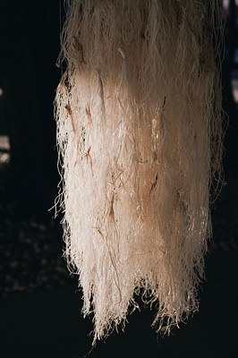 Image 27 of 84