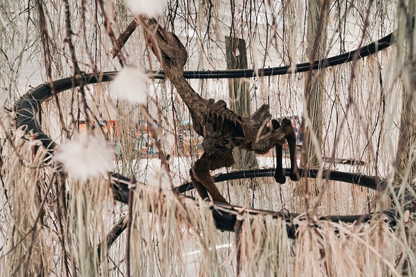 Image 21 of 84