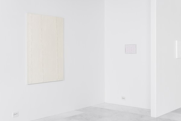 Image 7 of 25