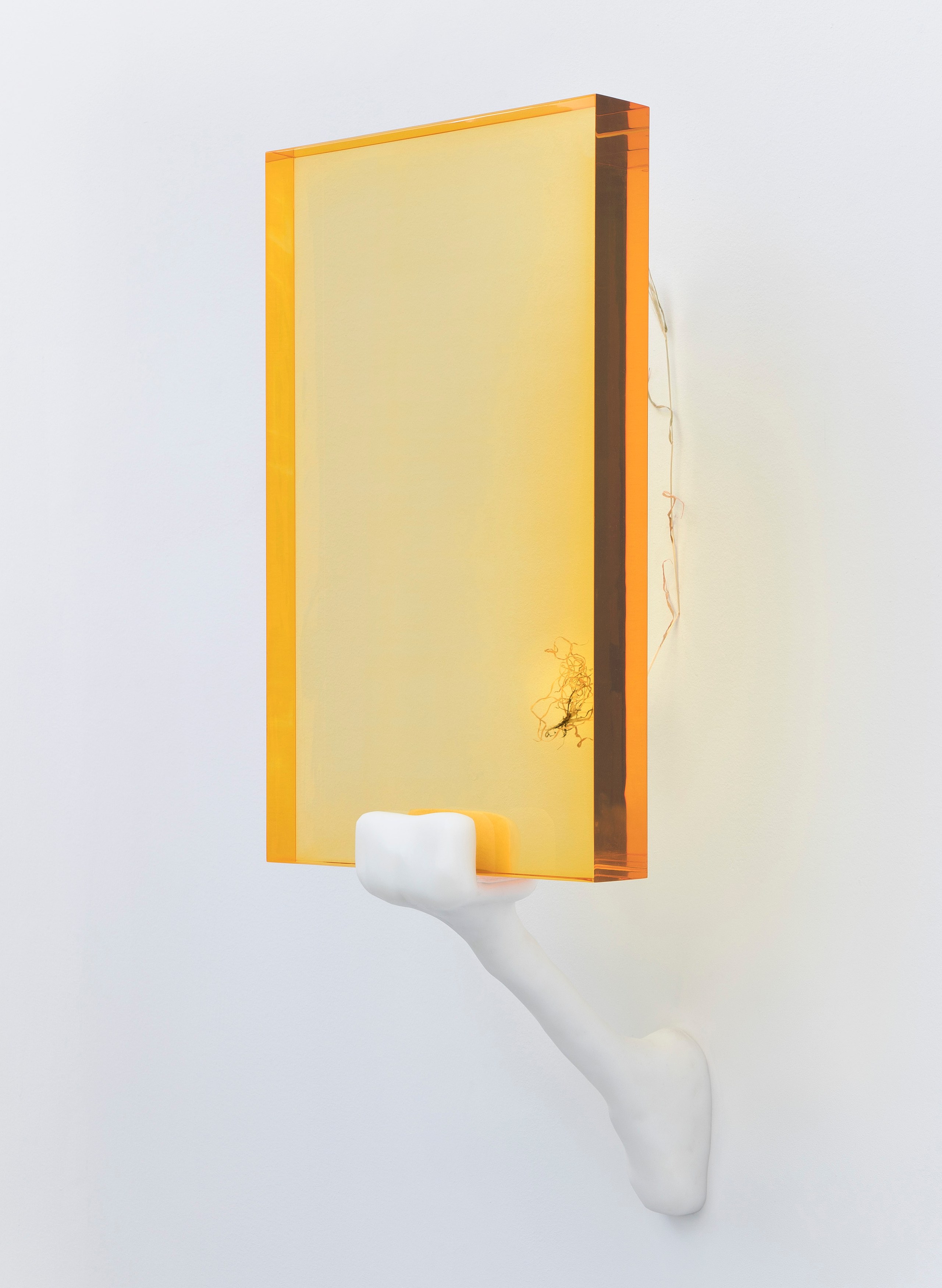 Looking Through the Threshold, Looking Through the Threshold at Carlier Gebauer, photo 15
