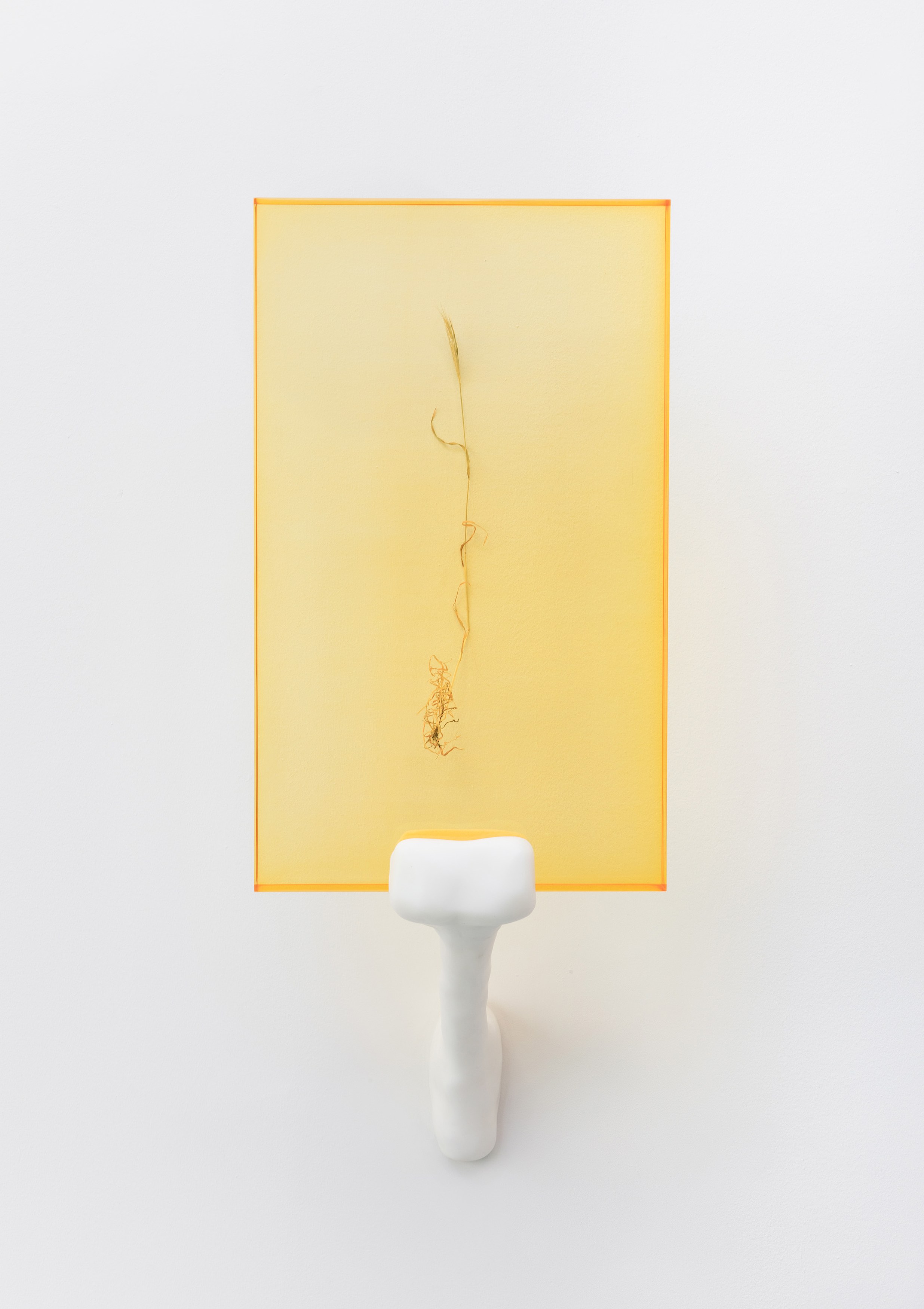Looking Through the Threshold, Looking Through the Threshold at Carlier Gebauer, photo 16