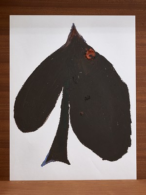 Image 25 of 43