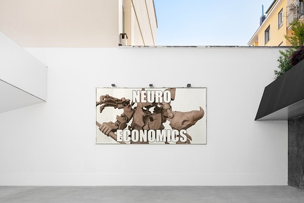 Image 2 of 13