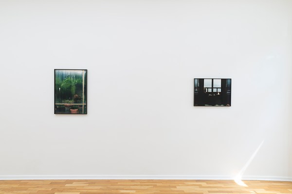 Image 4 of 33