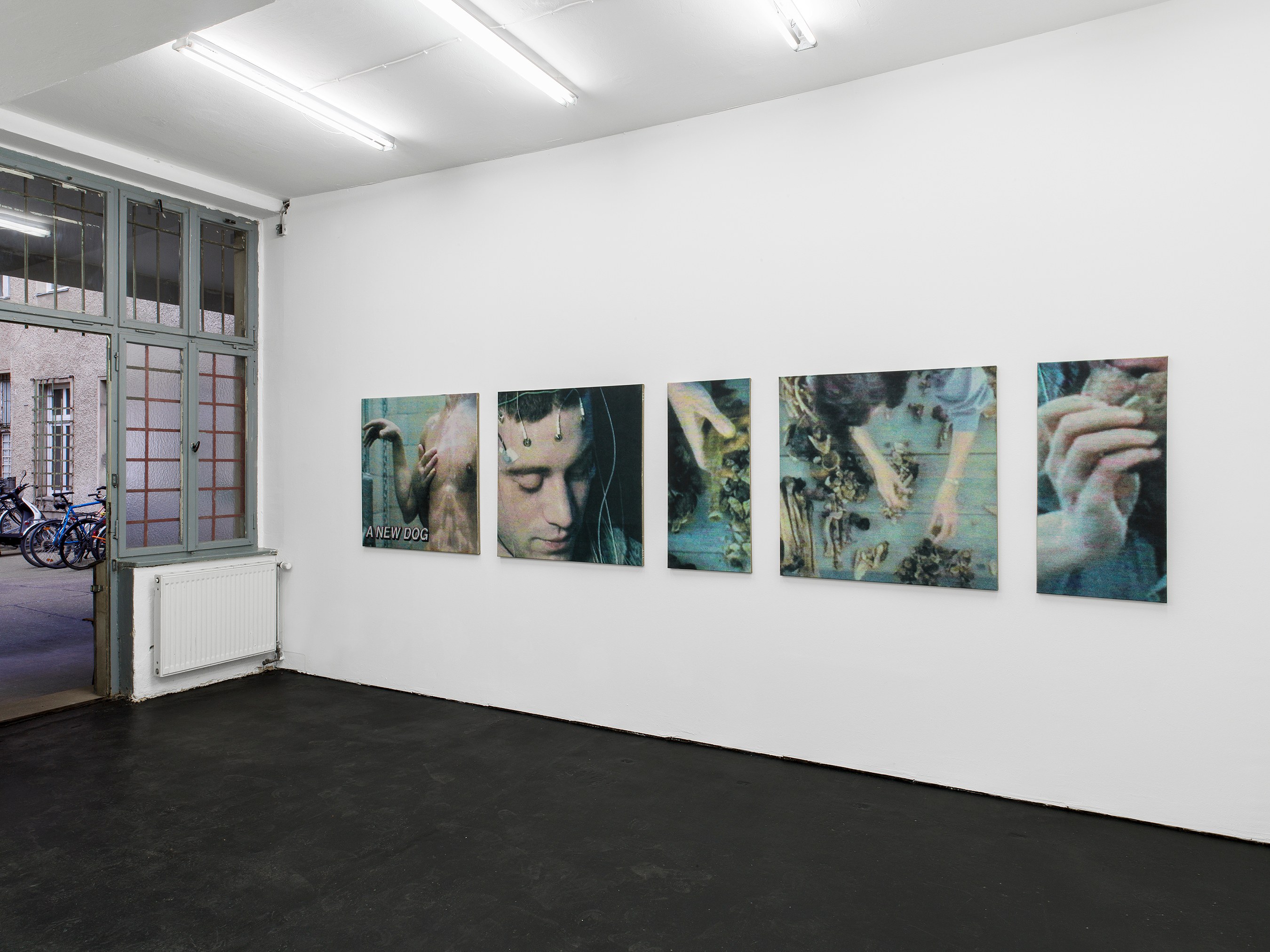 Matthias Groebel, The Rhythms of Reception at Schiefe Zähne, photo 5