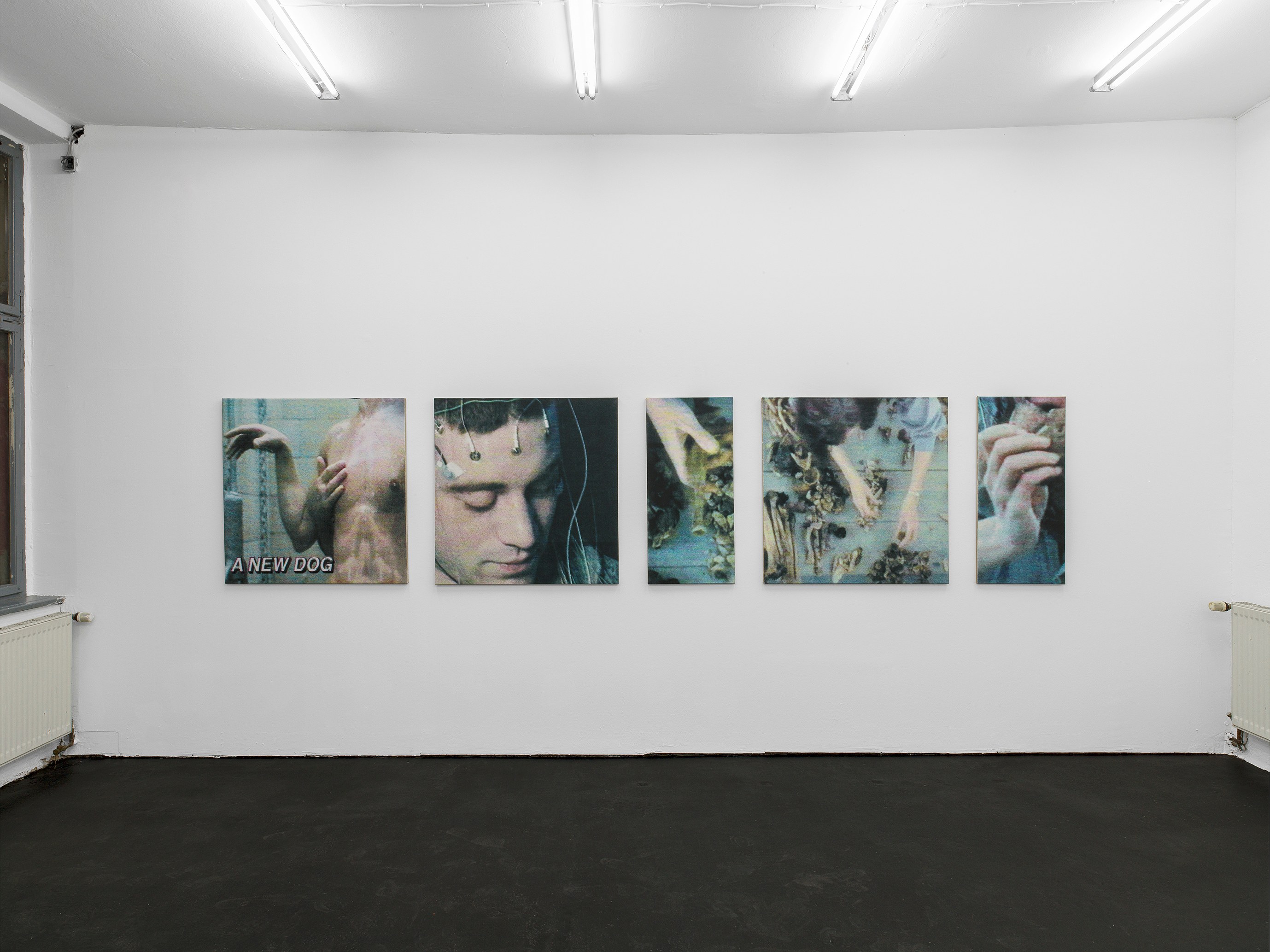 Matthias Groebel, The Rhythms of Reception at Schiefe Zähne, photo 6