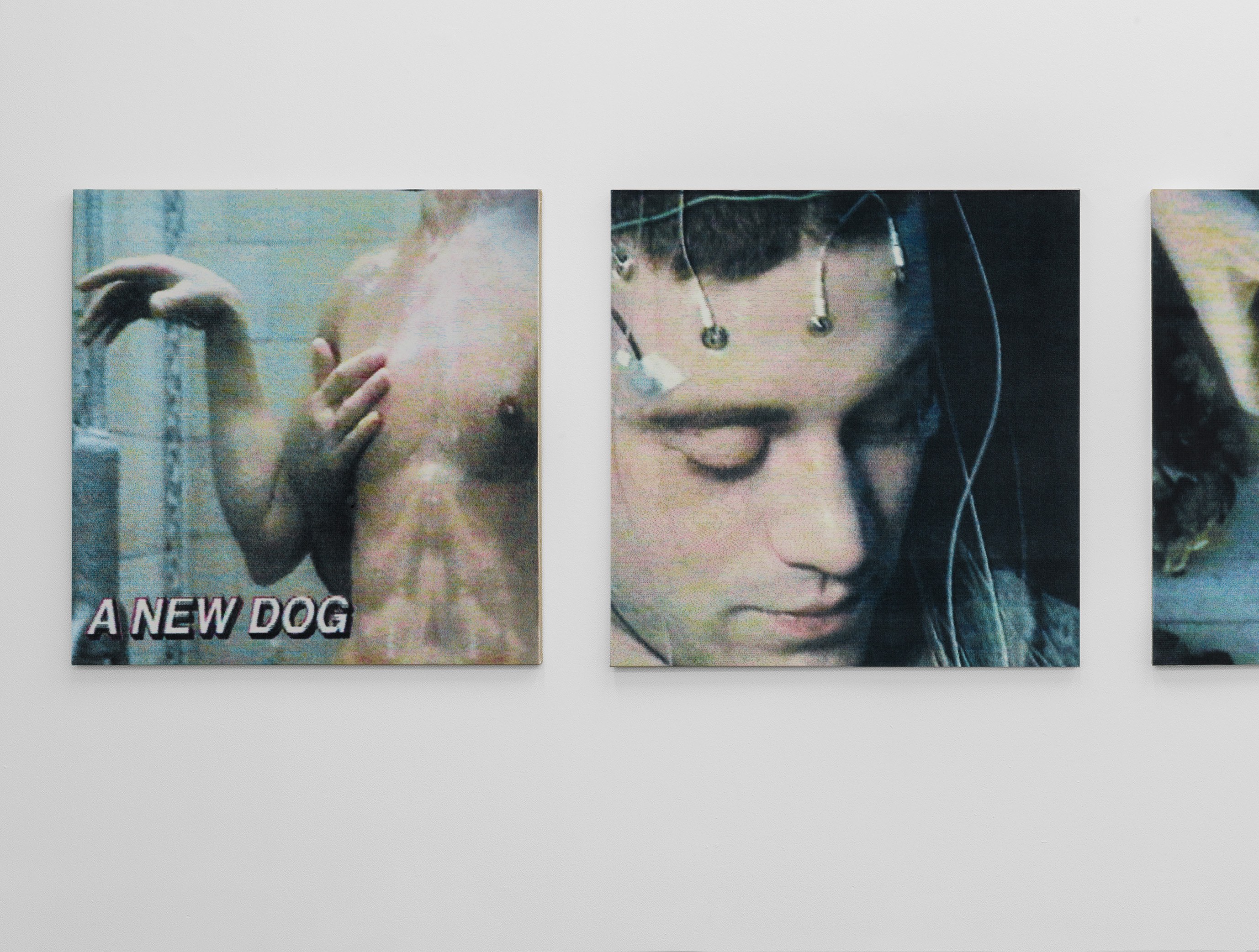 Matthias Groebel, The Rhythms of Reception at Schiefe Zähne, photo 7