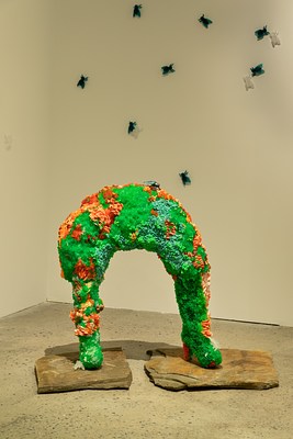 Image 7 of 35