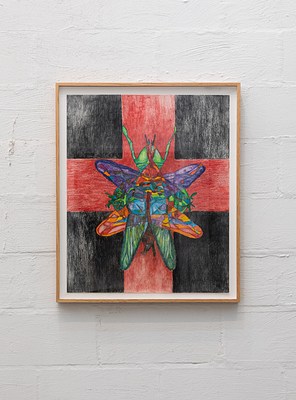 Image 10 of 35