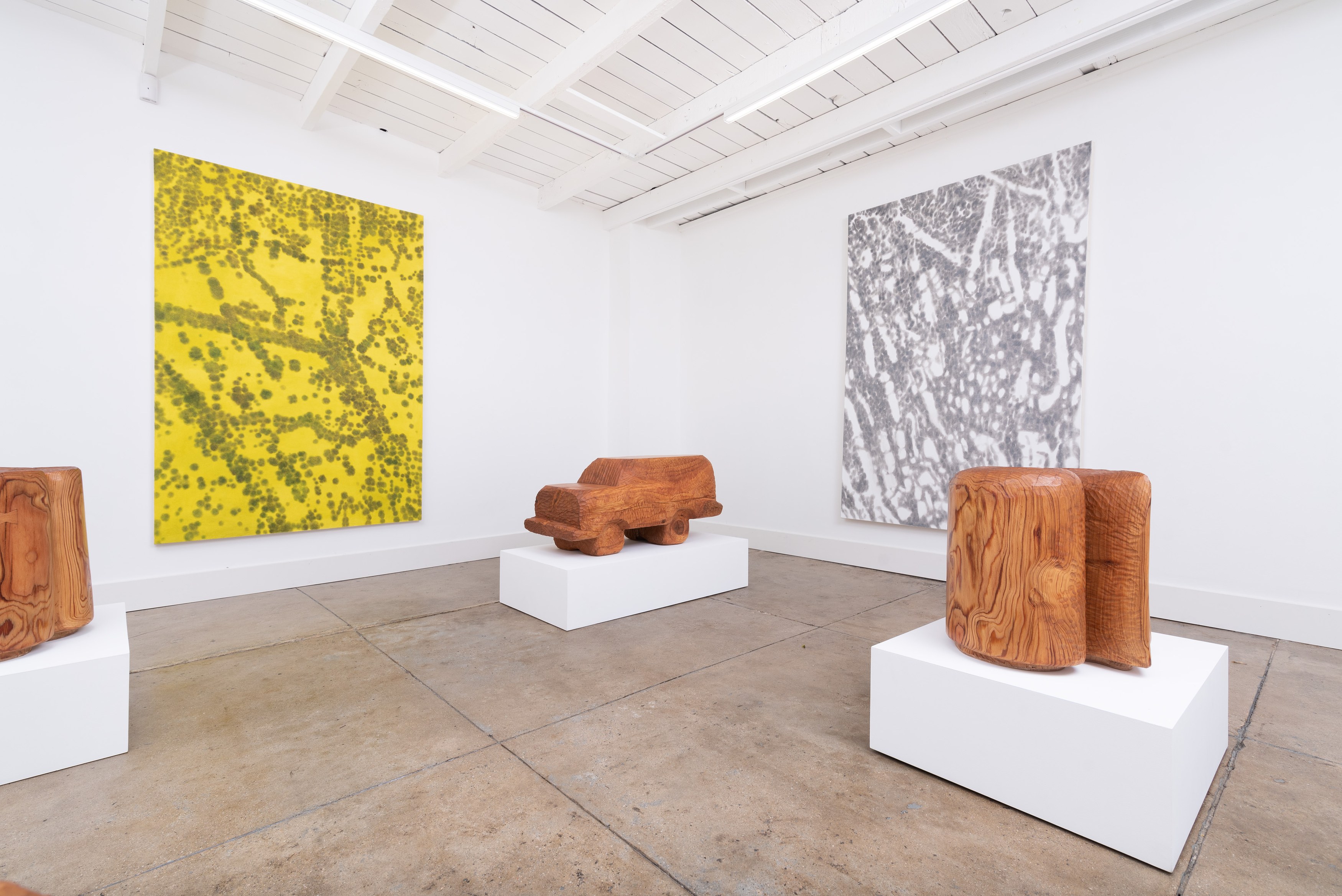 Ida Badal, Nik Gelormino, 3 and 4 at 12.26 West, photo 3