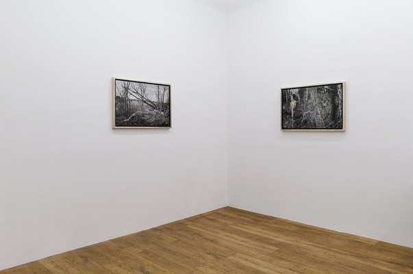 Image 7 of 15