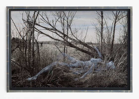 Image 15 of 15