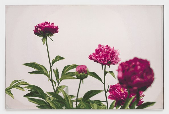 Image 9 of 18