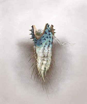 Image 21 of 25