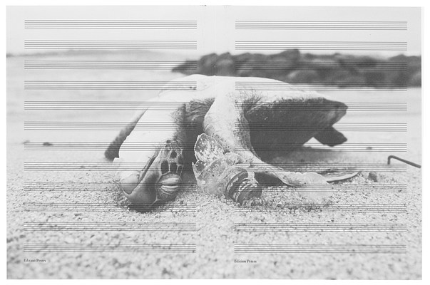 Image 25 of 37