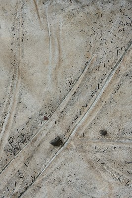 Image 9 of 17