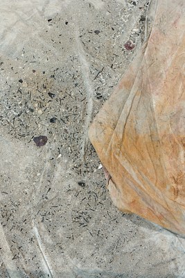 Image 12 of 17