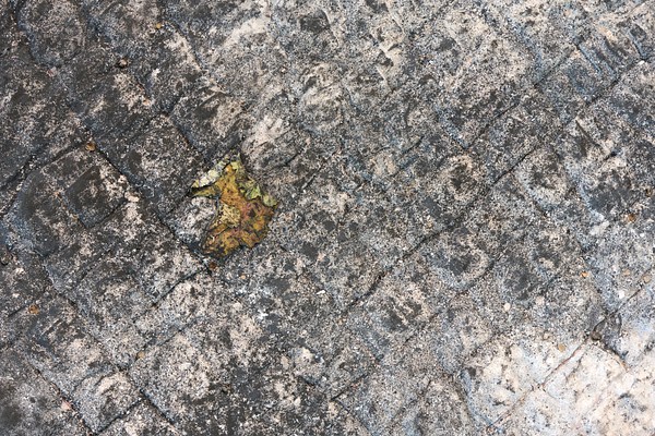 Image 15 of 17
