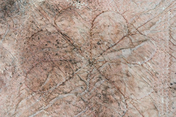 Image 17 of 17