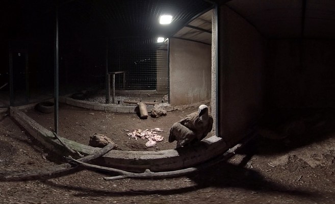 Image 12 of 23