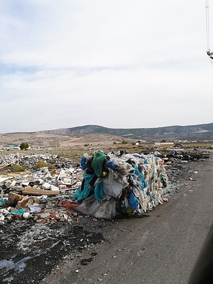 Image 13 of 23