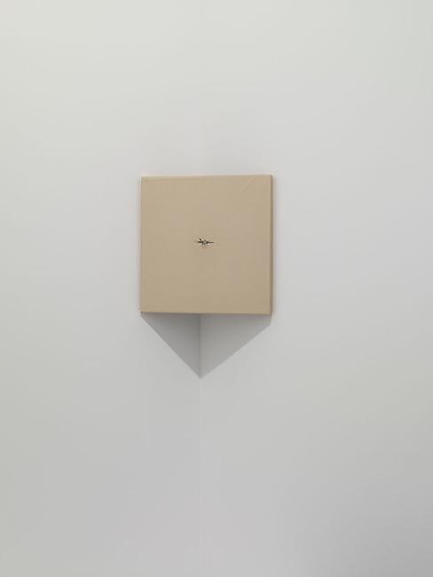 Giovanni Anselmo, Untitled at Marian Goodman Gallery, photo 9