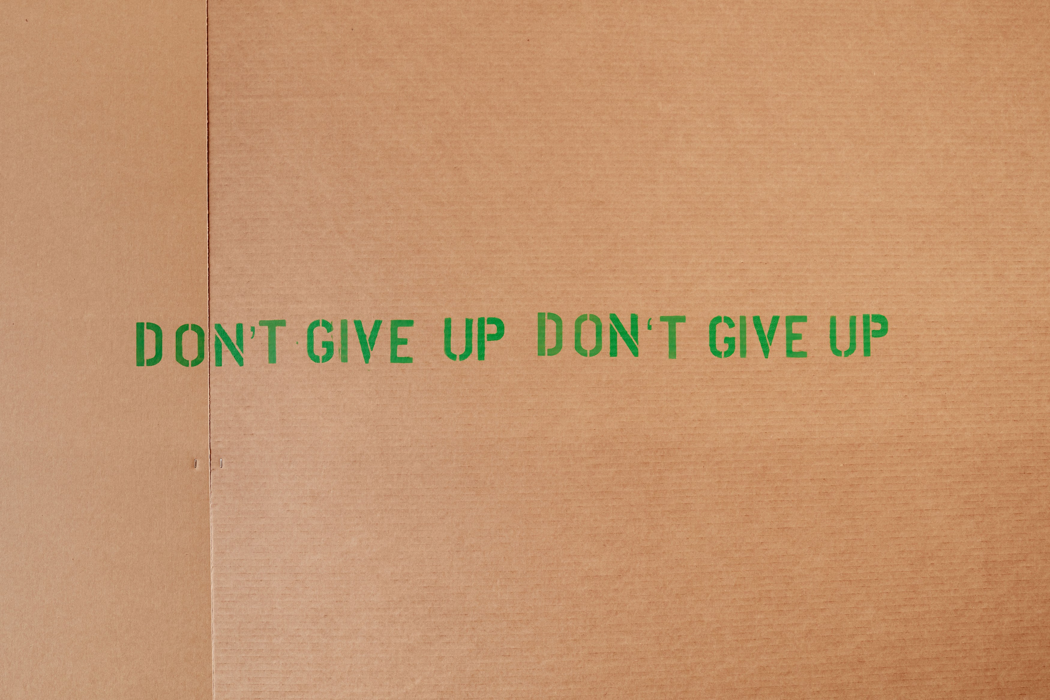 Ei Arakawa-Nash, Don't Give Up at Overduin and Kite, photo 36