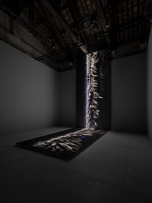 Image 10 of 22