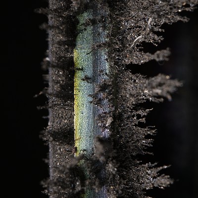 Image 21 of 22