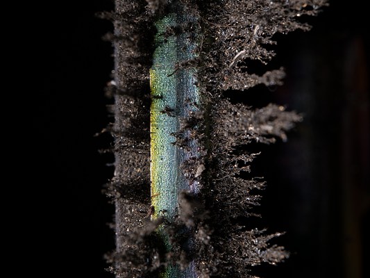 Image 22 of 22