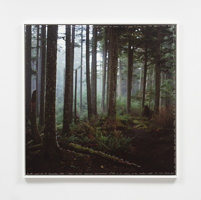 Image 13 of 14