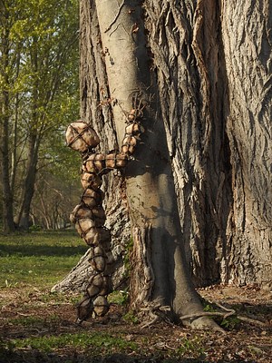 Image 14 of 34