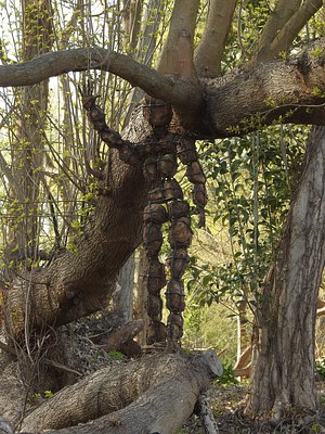Image 16 of 34