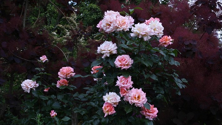 Image 22 of 23