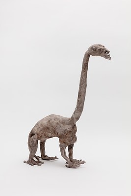 Image 11 of 20