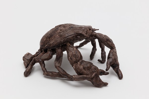Image 17 of 20
