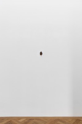 Image 4 of 40