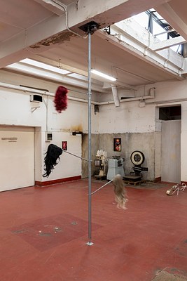 Image 18 of 38