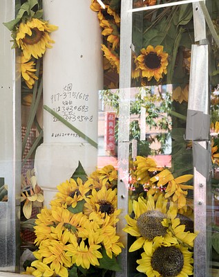 Image 14 of 35