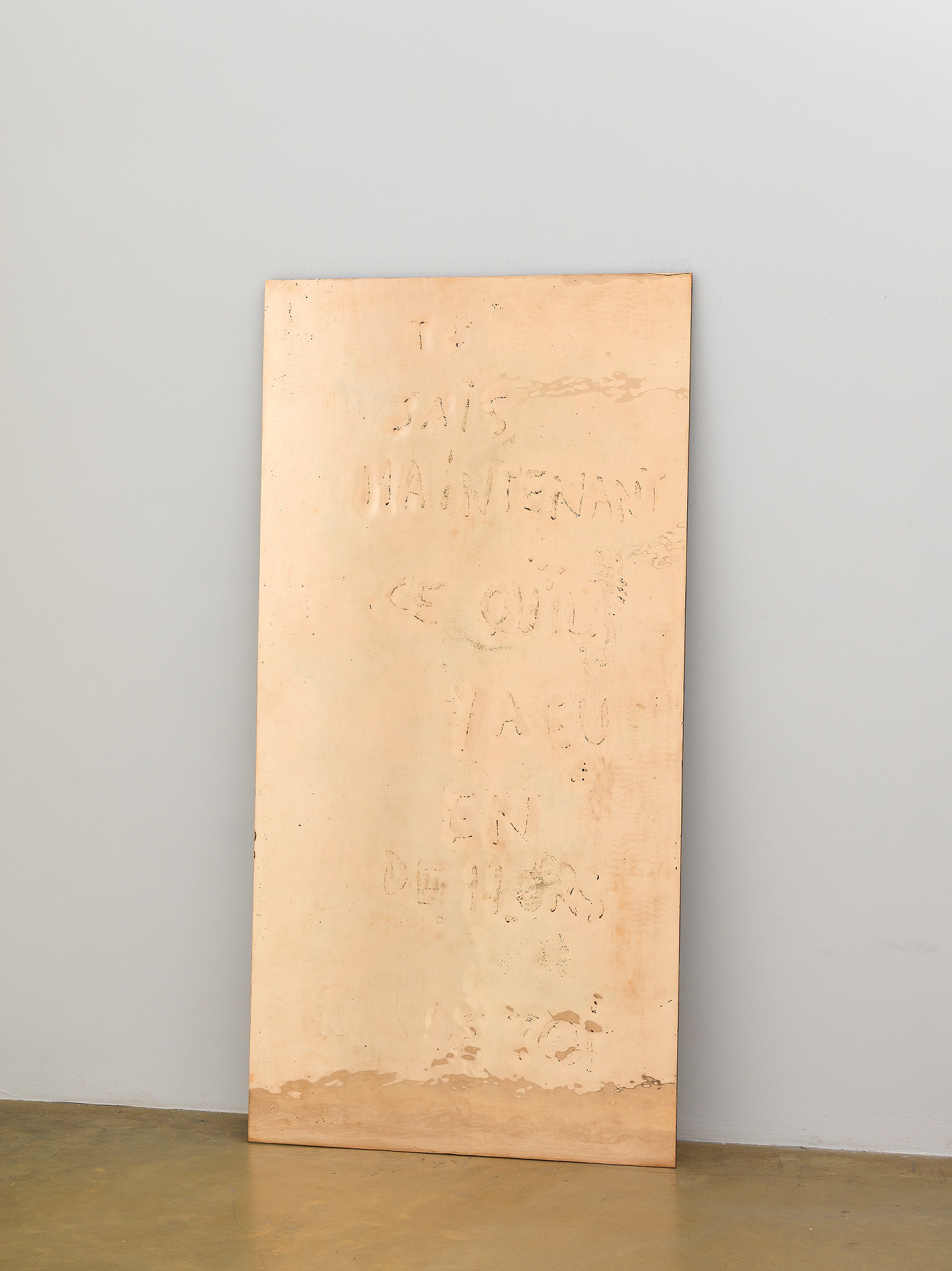 José María Sicilia, Eco at Galerie Chantal Crousel, photo 6
