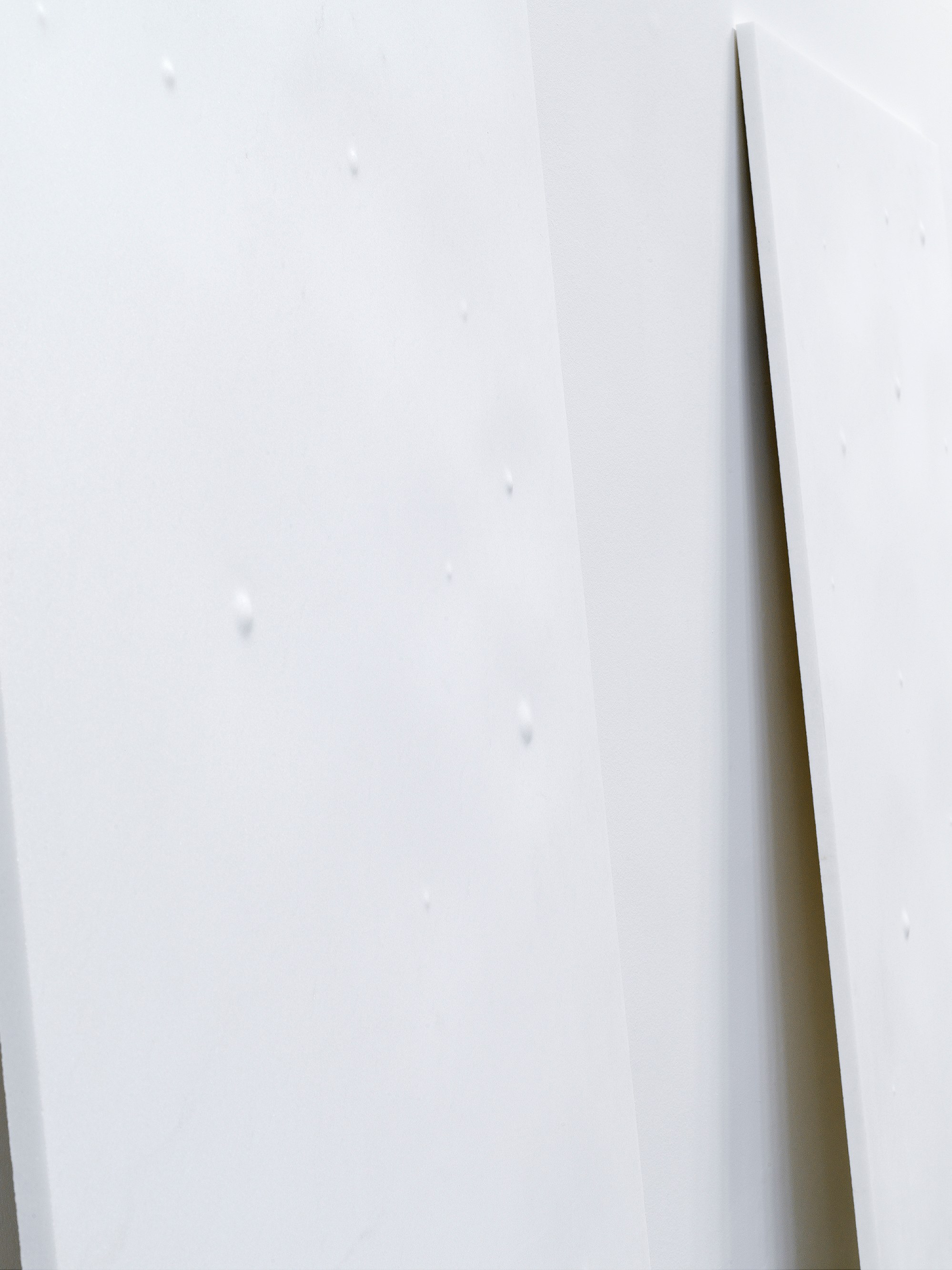José María Sicilia, Eco at Galerie Chantal Crousel, photo 7
