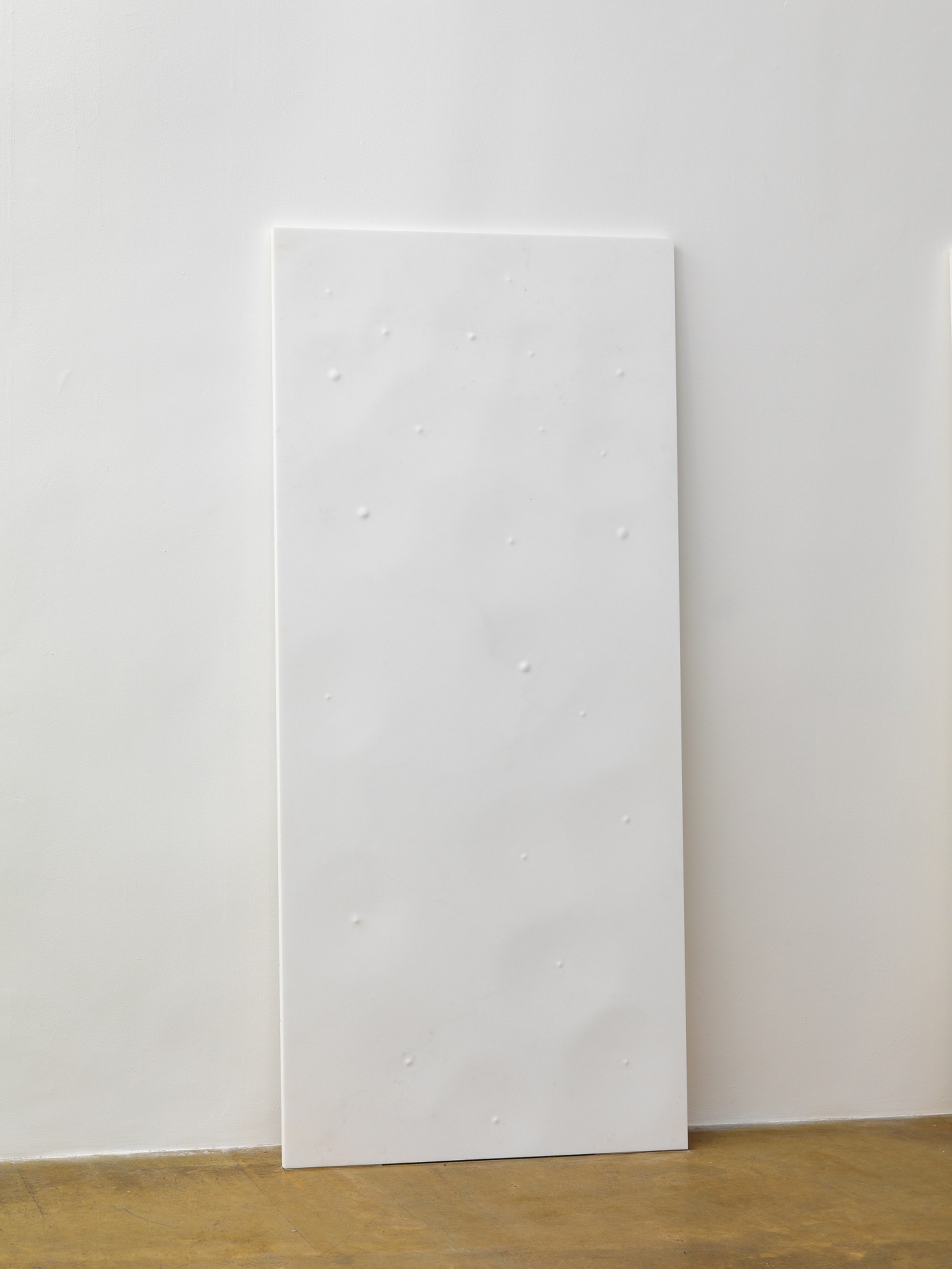José María Sicilia, Eco at Galerie Chantal Crousel, photo 8
